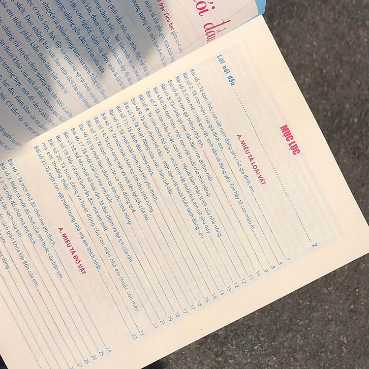 Tuyển Chọn Những Bài Văn Miêu Tả Lớp 4 - Ảnh 4