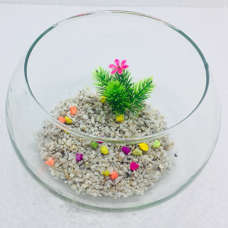 Bể cá mini để bàn tròn T11 Tặng phụ kiện