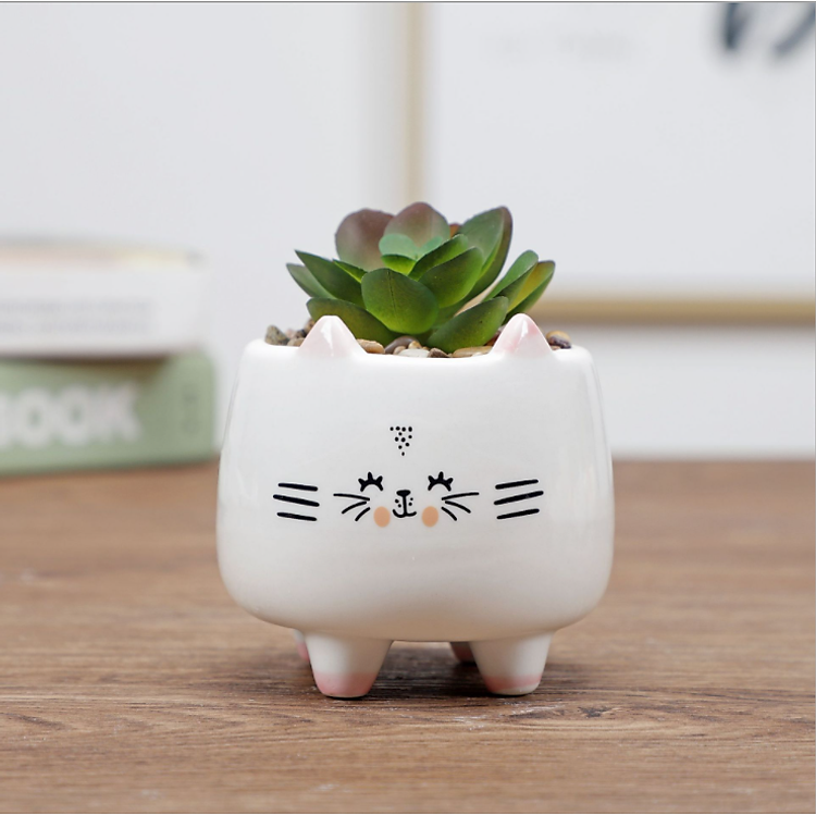 Chậu trồng cây hình mèo trắng cute