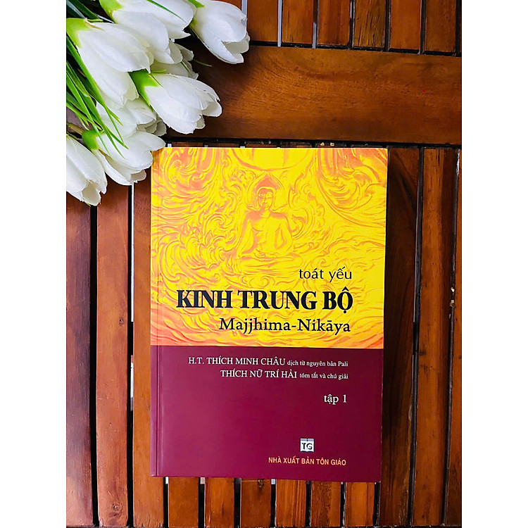 Toát Yếu Kinh Trung Bộ - Ảnh 7