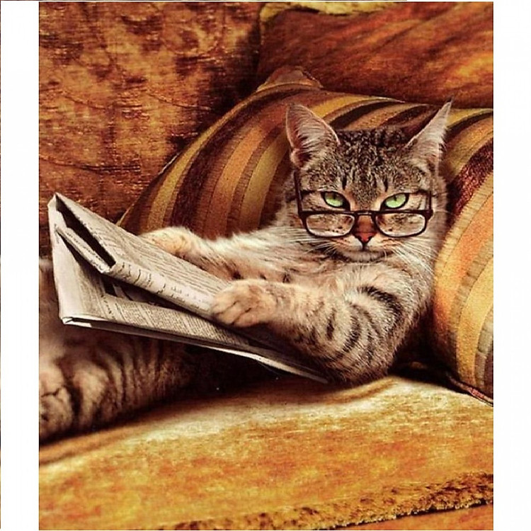 Tranh sơn dầu số hoá tự vẽ - Mèo xem báo