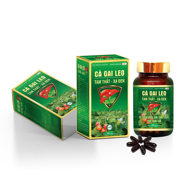 Cà Gai Leo Chai Tam Thất Xạ Đen - Chai 50 viên - Hỗ trợ mát gan - giải độc gan - tăng cường chức năng gan