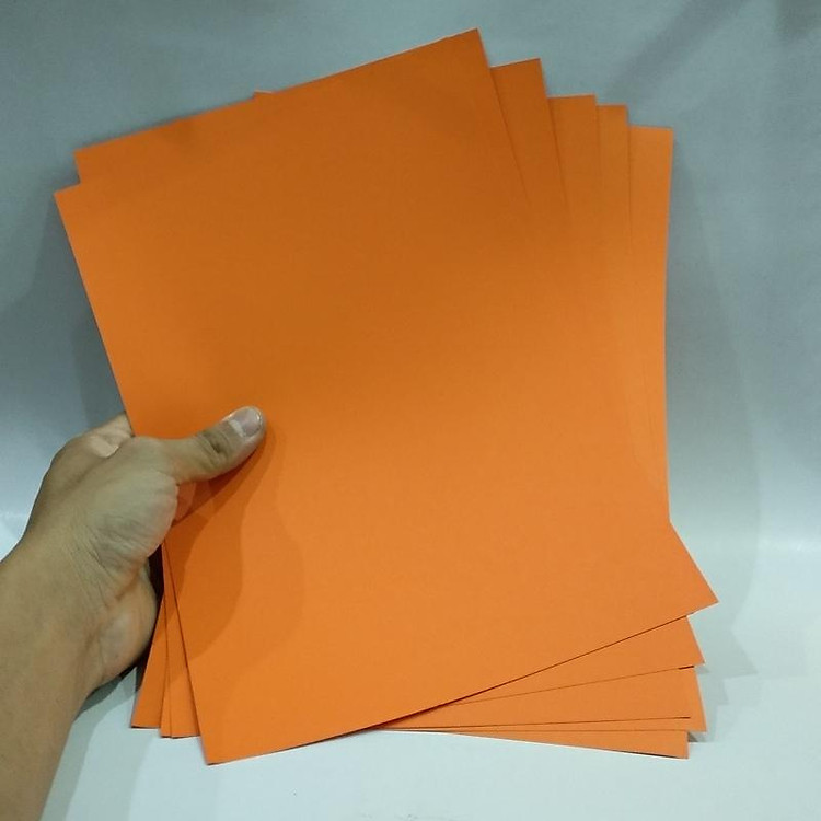 Giấy Bìa Màu 36565 - Ảnh 2