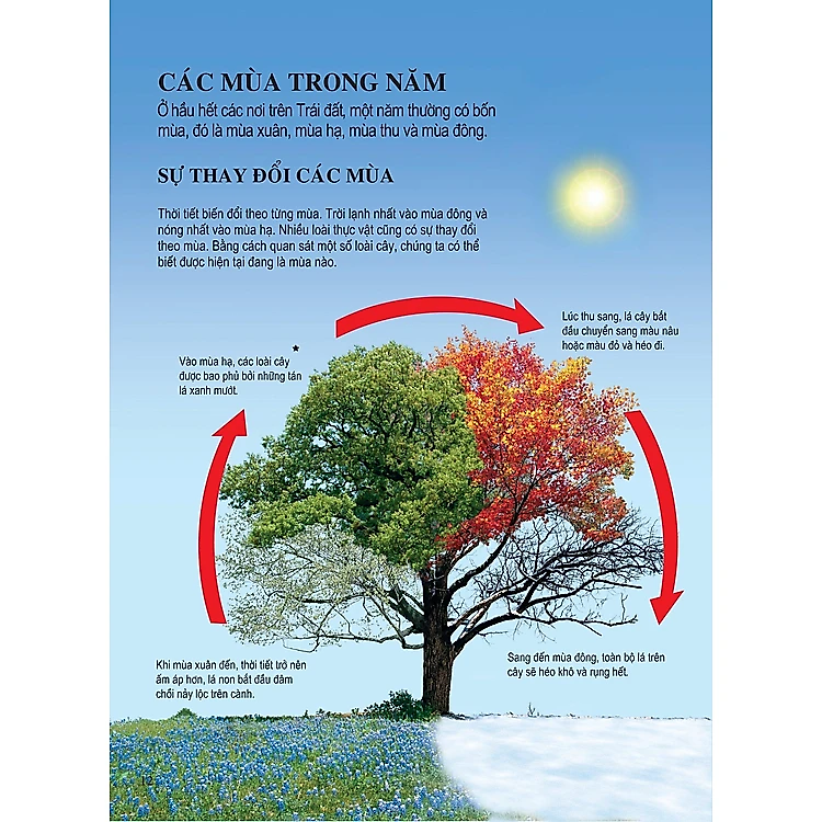 Bách Khoa Tri Thức Dành Cho Trẻ Em - Ảnh 6