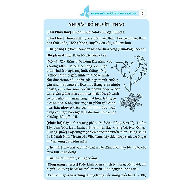 Trung Thảo Dược Đại Toàn - Đồ Giải - Ảnh 4