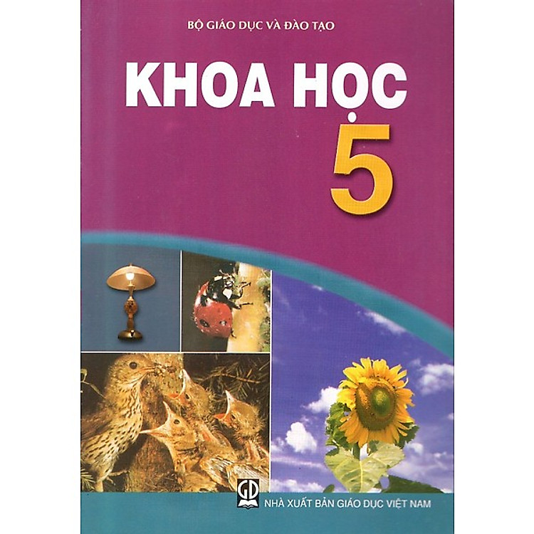 Sách Khoa Học Lớp 5