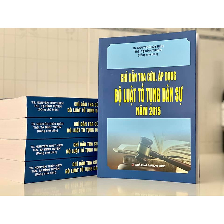 Chỉ dẫn tra cứu, áp dụng Bộ luật tố tụng dân sự năm 2015 - Ảnh 6
