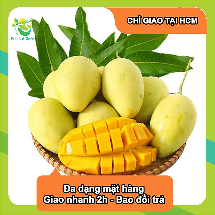 [Chỉ Giao HCM] Xoài Cát Hòa Lộc - 1KG