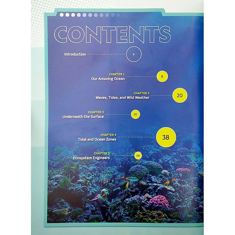 Captain Aquatica's Awesome Ocean - Ảnh 4