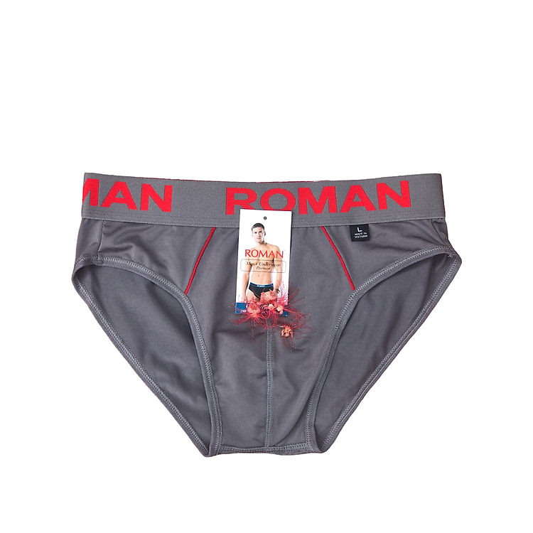 Quần lót nam Roman cao cấp - bảng lưng lớn - chất liệu thun lạnh silk 4 chiều cực mát.