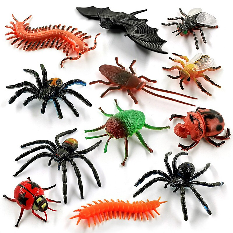 Bộ 12 côn trùng giả giáo dục New4all Chính hãng Ưu đãi - Hình ảnh 3