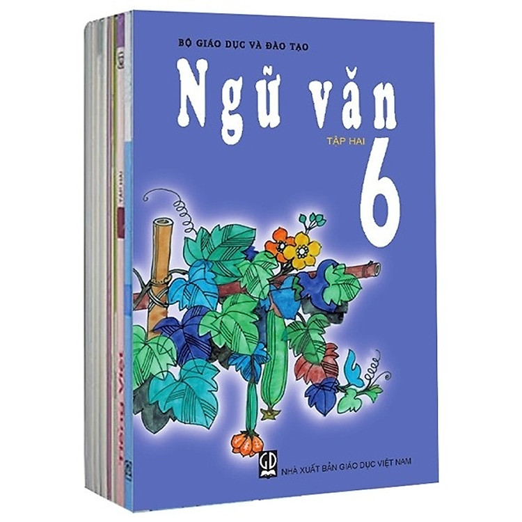 Sách Giáo Khoa Bộ Lớp 6 - Sách Bài Học Phía Nam (Bộ 12 Cuốn) (2020)