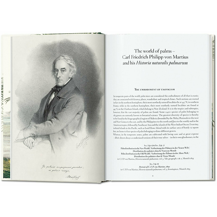 The Book of Palms. 40th Ed - Ảnh 3