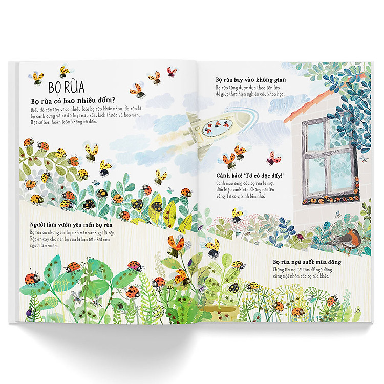 A Lê Hấp! Thế Giới Bọ - Ảnh 4