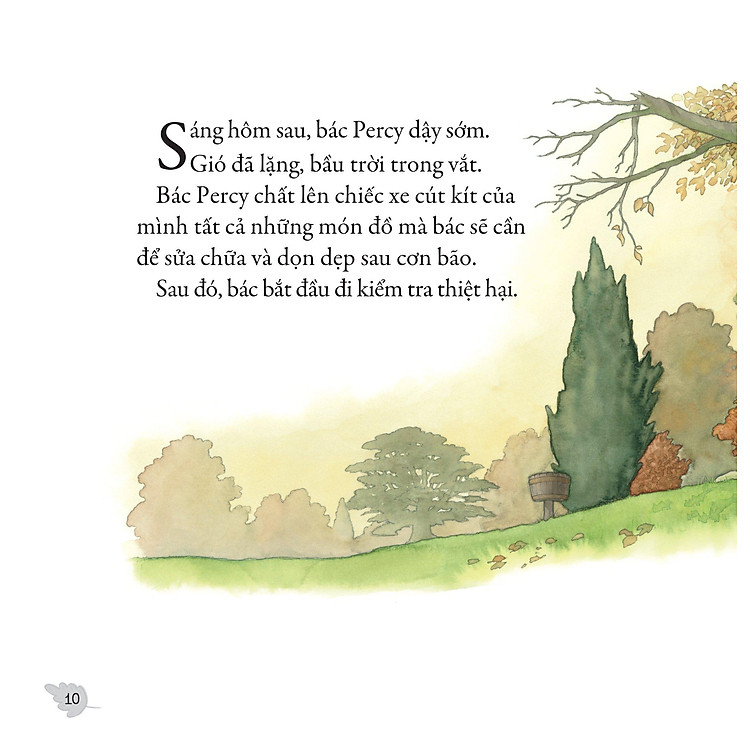 Gieo Mầm Yêu Thương - Sau Cơn Bão (Dành Cho Trẻ Từ 3-9 Tuổi) - Ảnh 4