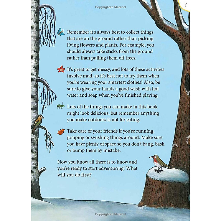 The Snail And The Whale And Friends Outdoor Activity Book - Ảnh 7