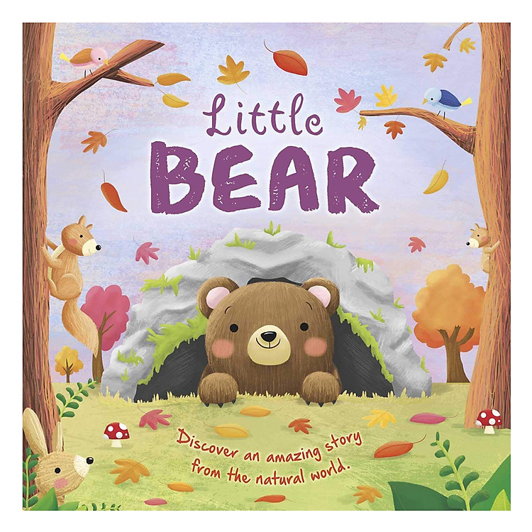 Sách Little Bear (Discover an Amazing Story From The Natural World)
