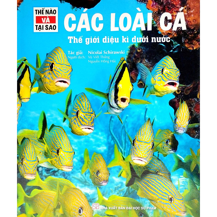 Thế Nào Và Tại Sao - Các Loài Cá - Thế Giới Diệu Kì Dưới Nước (Tái Bản 2023) - Ảnh 2