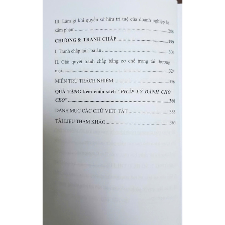Pháp lý dành cho CEO - Ảnh 6