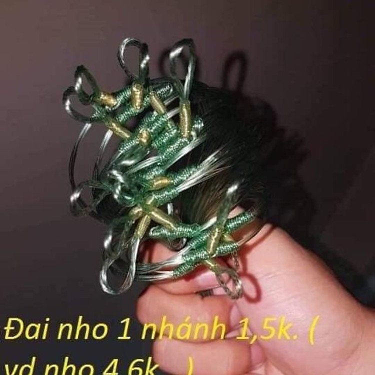 Combo 10 Đai nho 8 không lưỡi