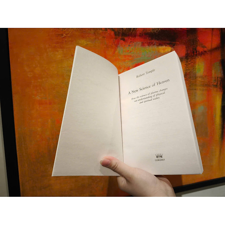 A New Science of Heaven: How the New Science of Plasma Physics Is Shedding Light on Spiritual Experience - Ảnh 6