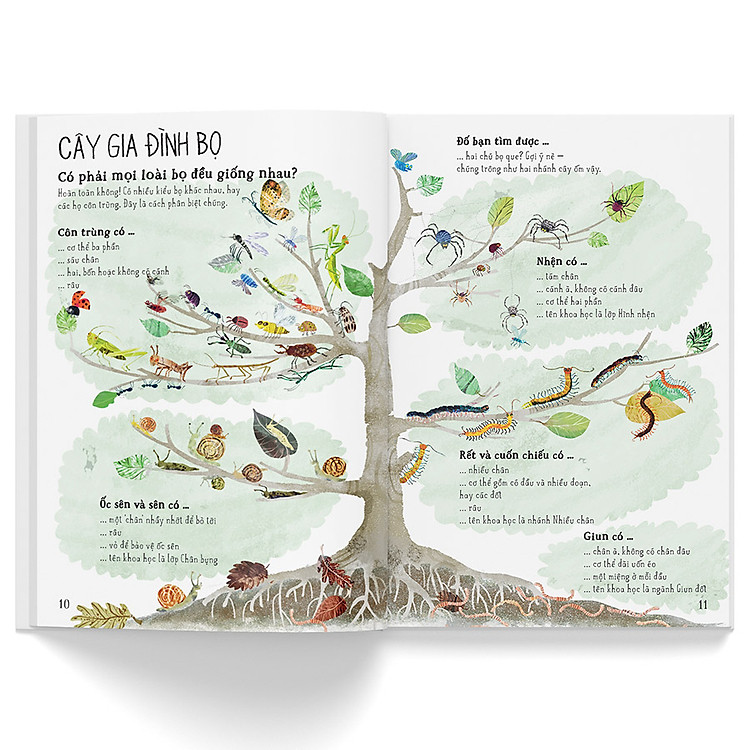 A Lê Hấp! Thế Giới Bọ - Ảnh 3