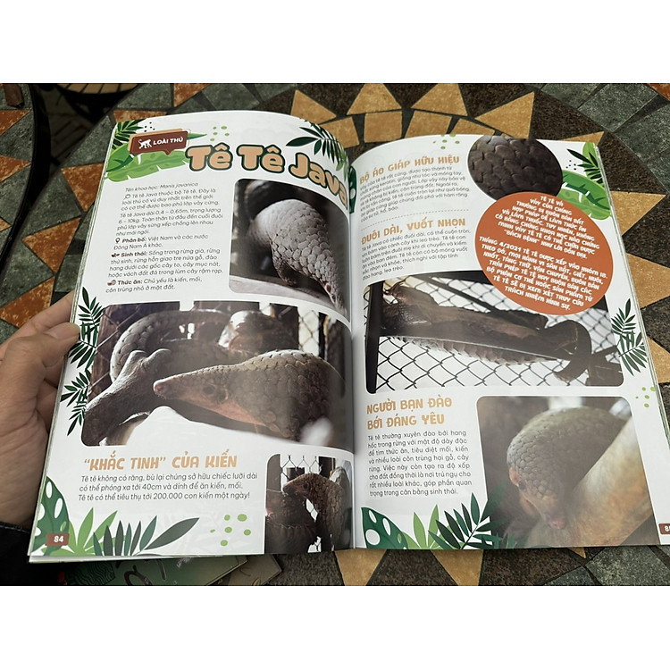 THẢO CẦM VIÊN SÀI GÒN - Kho Báu Trong Lòng Thành Phố - Ảnh 2