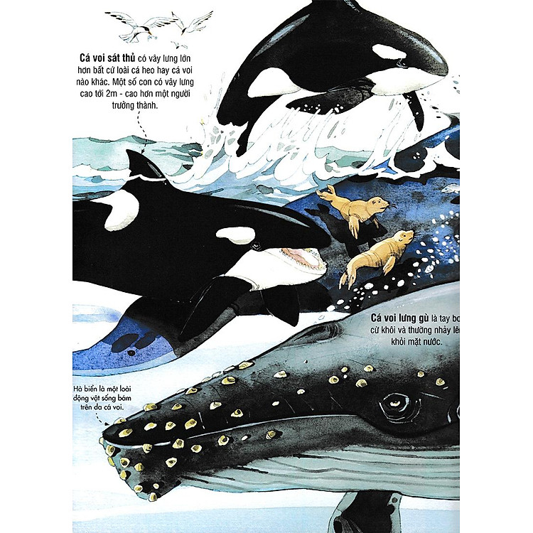 Tương Tác - Big Book - Cuốn Sách Khổng Lồ Về Các Loài Động Vật Biển (Tái Bản 2018) - Ảnh 7