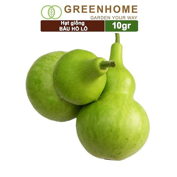Hạt Giống Bầu Hồ Lô Greenhome, Gói 1g, Dễ Trồng Quanh Năm, Nảy Mầm Cao, Thu Hoạch Nhanh, Năng Suất Cao T11