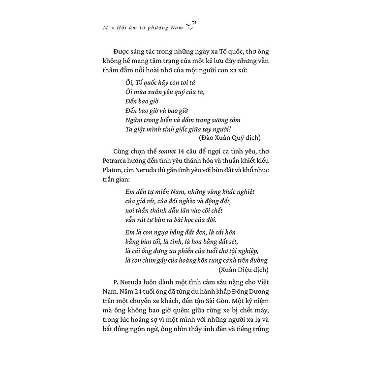 Hồi Âm Từ Phương Nam - Ảnh 7