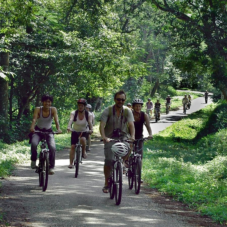 Tour Hoa Lư - Tam Cốc - Cúc Phương 2N1Đ, Khởi Hành Hàng Ngày Từ HN