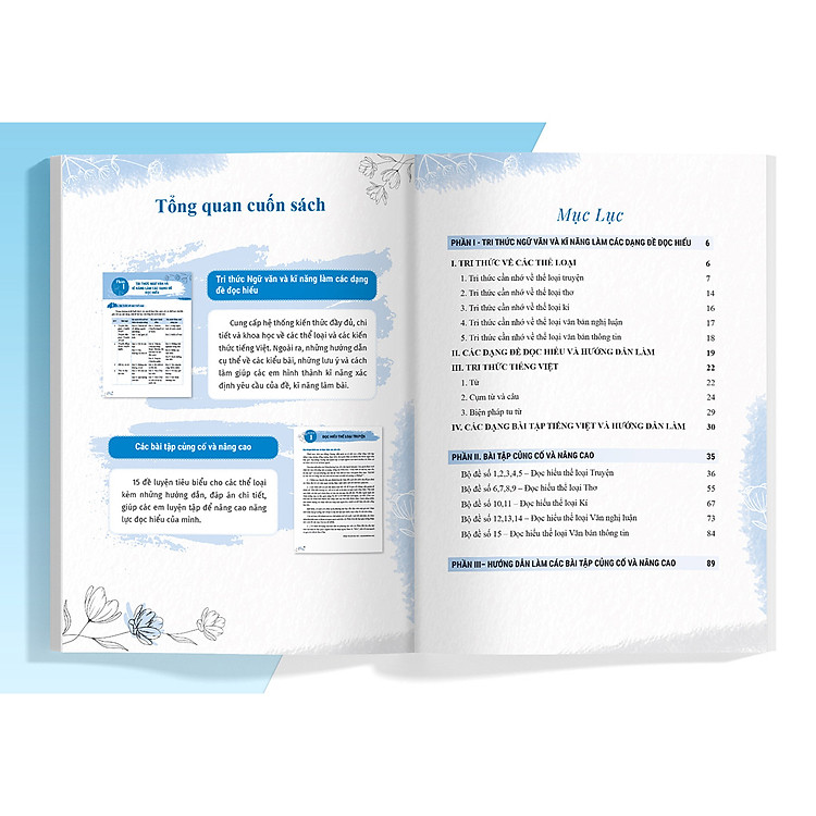 Bồi Dưỡng Và Nâng Cao Kỹ Năng Đọc Hiểu Ngữ Văn 6 - Ảnh 3