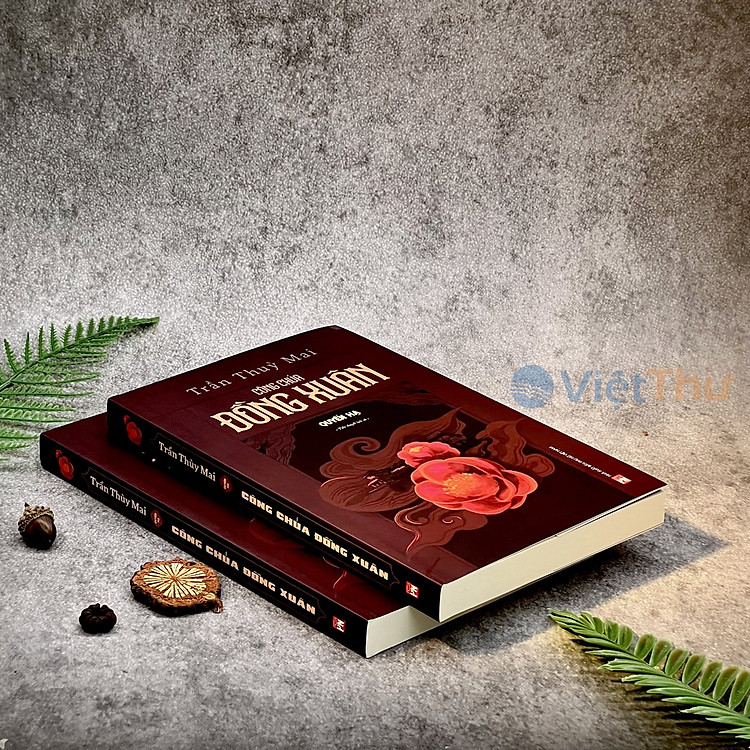 Công Chúa Đồng Xuân - Ảnh 6