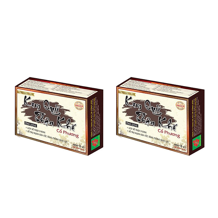 Combo 2 hộp Kim quỹ thận khí Công Đức bổ thận dương, tăng cường sinh lực