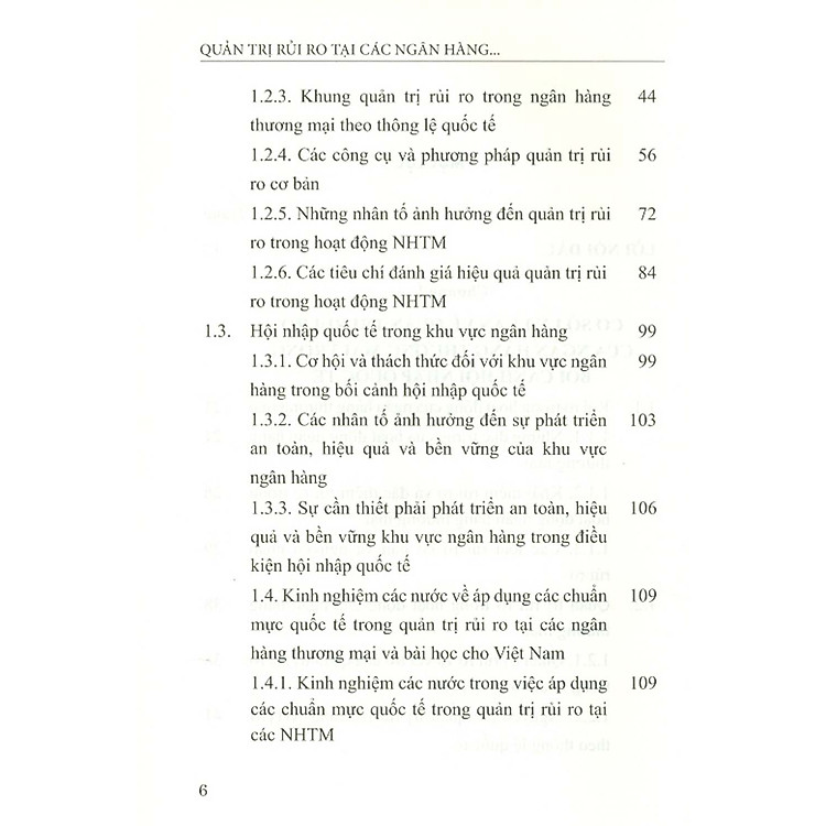 Quản Trị Rủi Ro Tại Các Ngân Hàng Thương Mại Việt Nam Trong Bối Cảnh Hội Nhập Quốc Tế - Ảnh 3