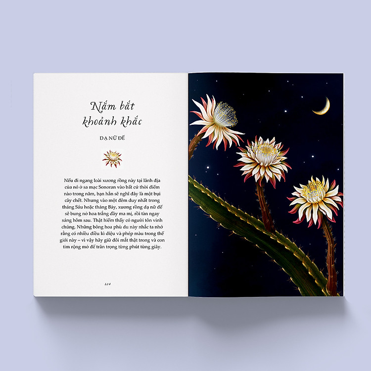 Vươn Mình Như Những Đoá Hoa - Những Bài Học Nhỏ Để Có Nguồn Vui Và An Lành Bất Tận - Ảnh 3