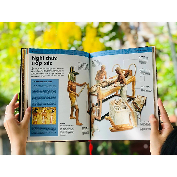 Ai Cập Cổ Đại - Ảnh 3