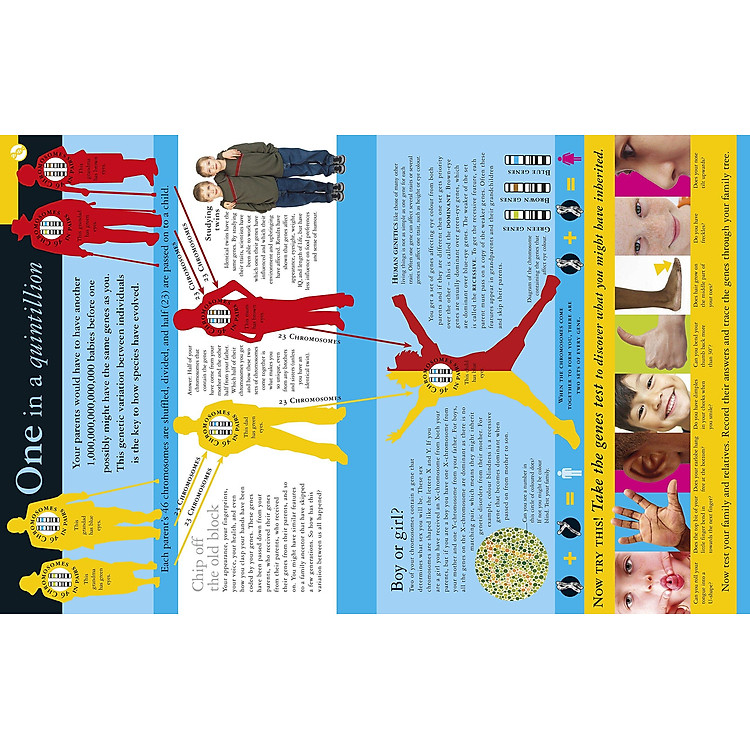 All About Evolution (Big Questions) - Ảnh 5