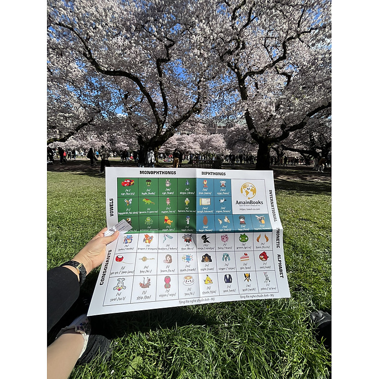 Bộ Flashcard 26 Chữ Cái Tiếng Anh Alphabet & Bảng Phiên Âm IPA2 - Ảnh 6