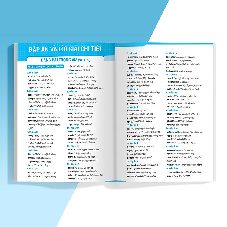 Bài Tập Phát Âm Trọng Âm Tiếng Anh (Ôn Thi Vào Lớp 10 Và 10 Chuyên) - Ảnh 5