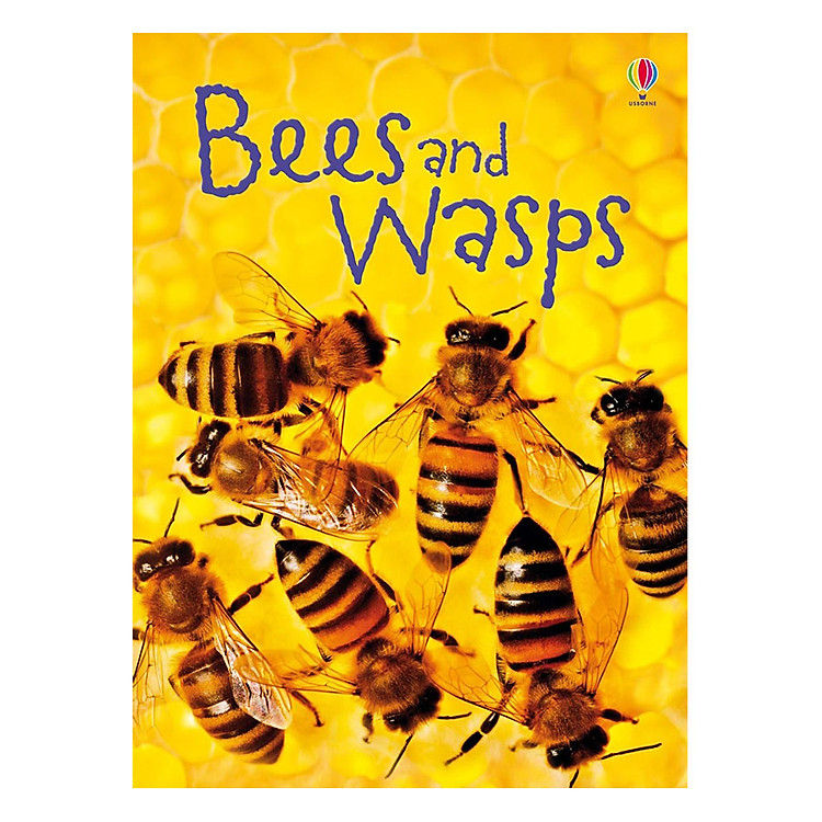 Sách Usborne Bees and Wasps