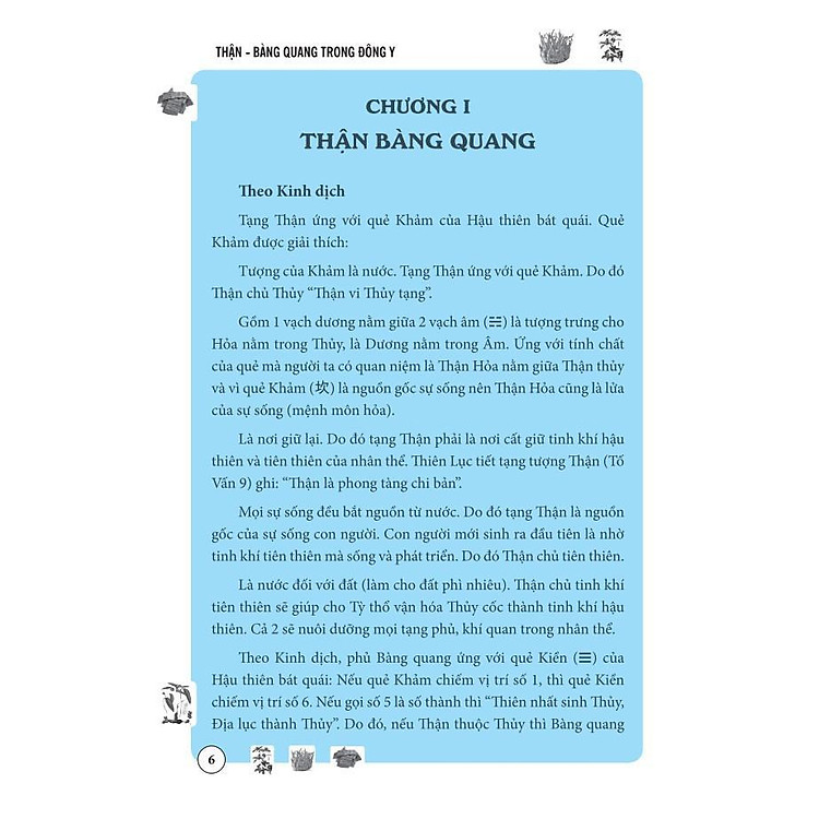 Thận Bàng Quang Trong Đông Y - Ảnh 2