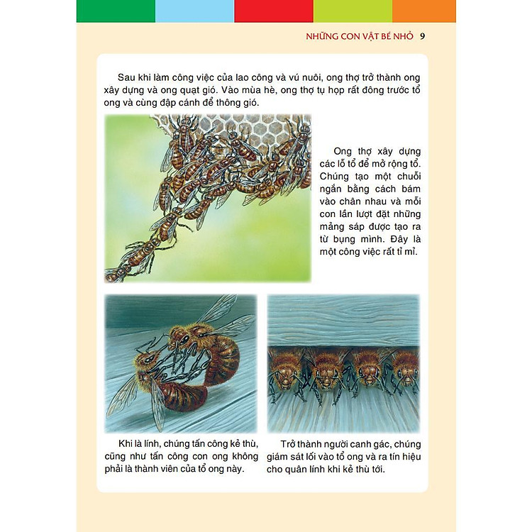 Những Con Vật Bé Nhỏ - Ảnh 6