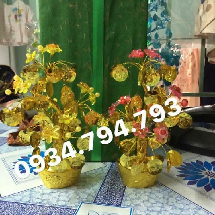 Cây tài lộc chữ phước nhỏ cao 20cm