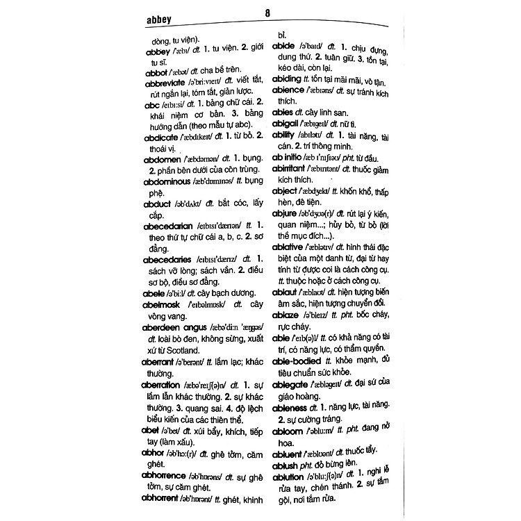 Từ Điển Anh - Việt 110.000 Từ (Tái Bản 2020) - Ảnh 7