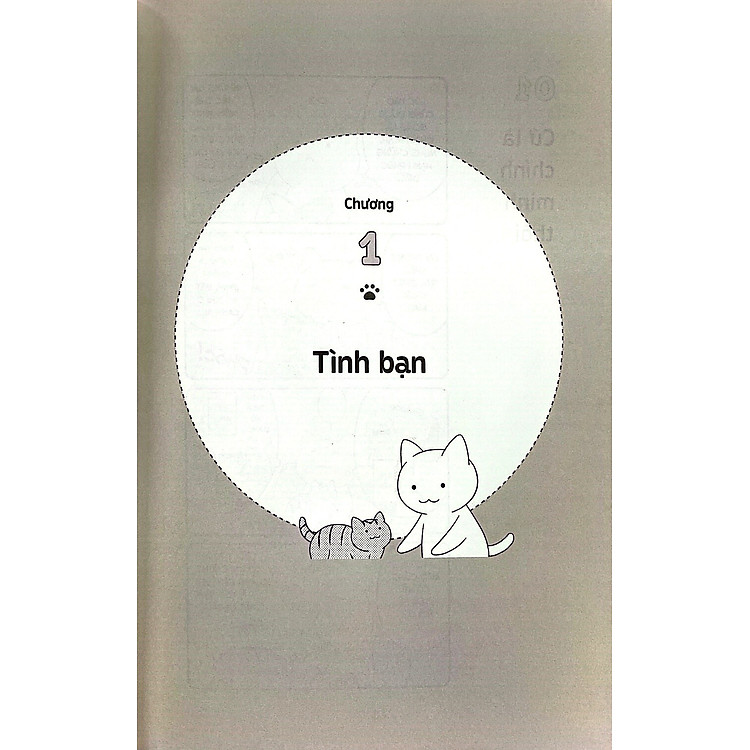 Những Bài Học Cuộc Sống Từ Đám Mèo Nhà Tôi - Ảnh 2