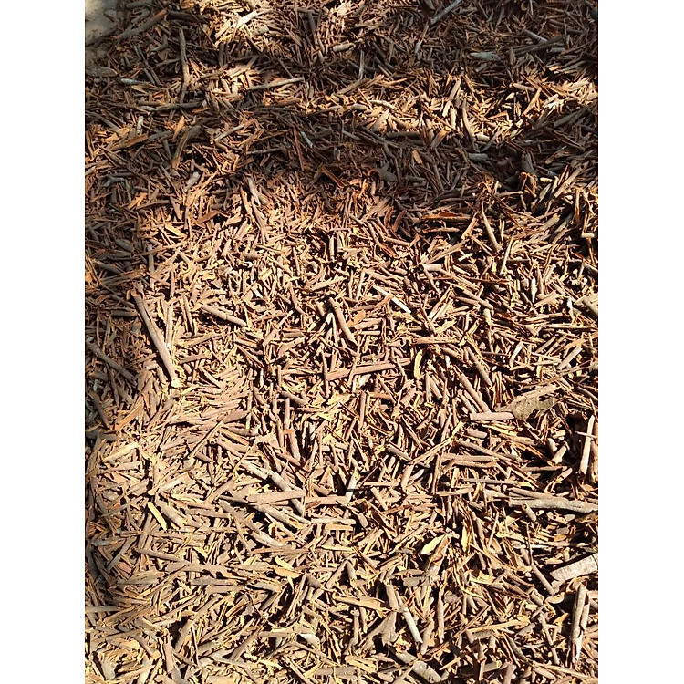 Vỏ quế xông thơm nhà cửa - 300gr Giá tốt - Hình ảnh 2