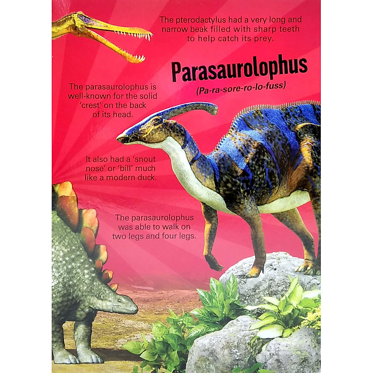 A Mega Sound Book: Roar! 10-Button Sound Book - Ảnh 4