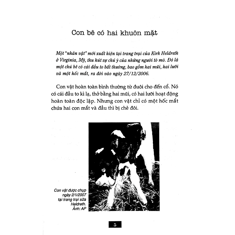 Bí Ẩn Mãi Mãi Là Bí Ẩn 03 - Ảnh 2