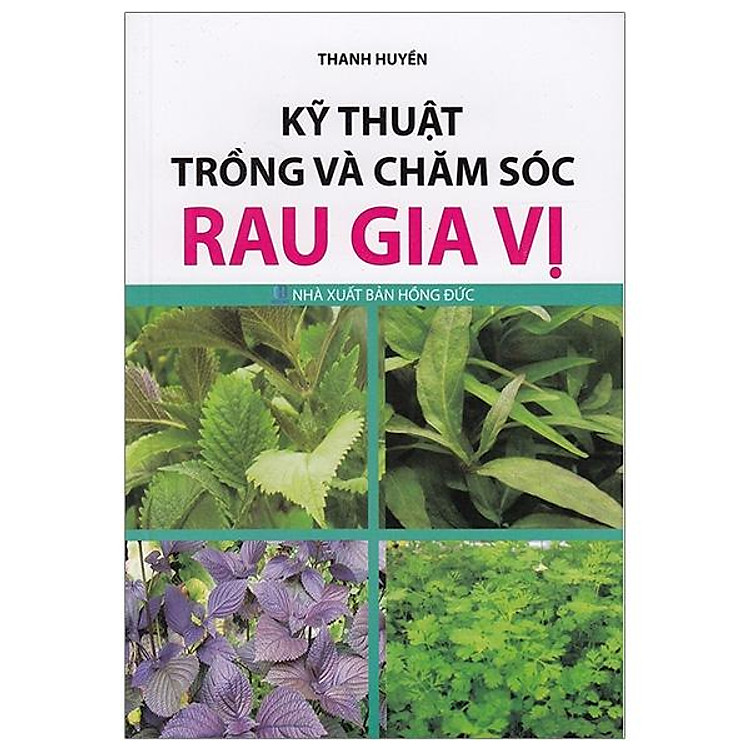 Kỹ Thuật Trồng Và Chăm Sóc Rau Gia Vị